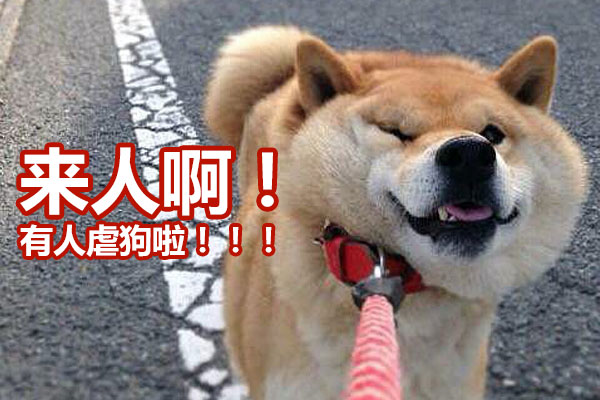 魔域私服战神的抉择