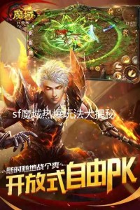 魔域之旅：神秘NPC“幻影导师”与传说装备“星辰之冠”的奇幻冒险