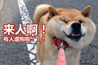 战士副本之王？准确数据揭示强大的血族副本效用